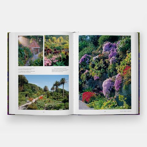 InsideView 7