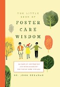 The Little Book of Foster Care Wisdom - John Degarmo