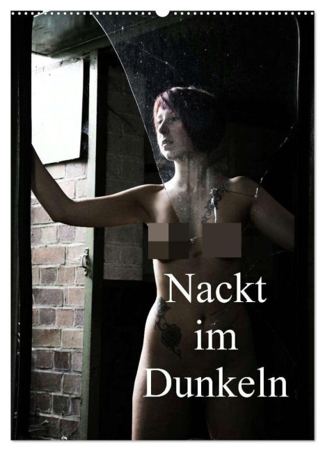 Nackt im Dunkeln / 2026 (Wandkalender 2026 DIN A2 hoch), CALVENDO Monatskalender - Juri Lee