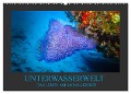 Unterwasserwelt - Das Leben am Korallenriff (Wandkalender 2025 DIN A2 quer), CALVENDO Monatskalender - Dirk Meutzner