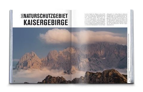 InsideView 5