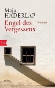 Cover-Bild zum Titel 'Engel des Vergessens' von 'Maja Haderlap'