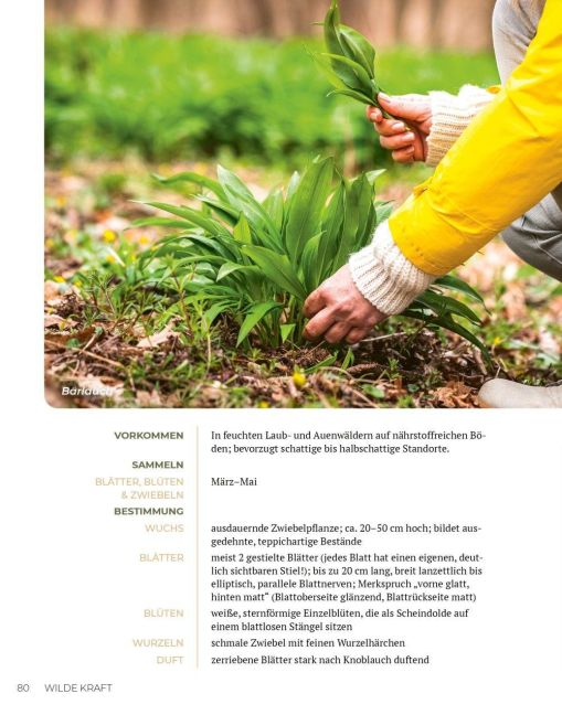 InsideView 11