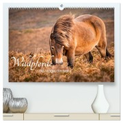 Cover-Bild zum Titel 'Wildperde - die Magie der Natur (hochwertiger Premium Wandkalender 2026 DIN A2 quer), Kunstdruck in Hochglanz' von 'Fotografie Sabine Aichberger'
