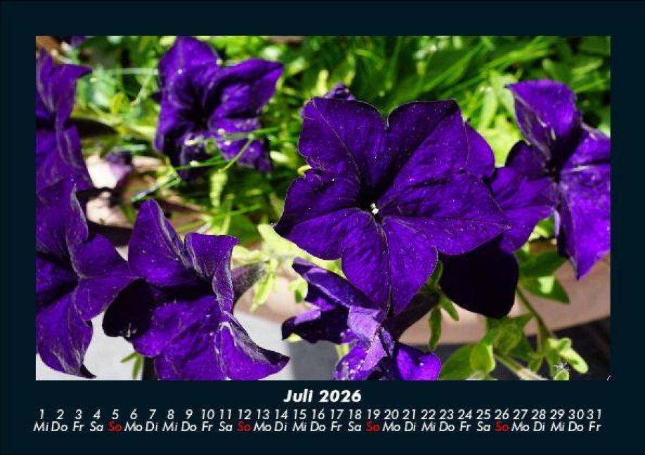 InsideView 11