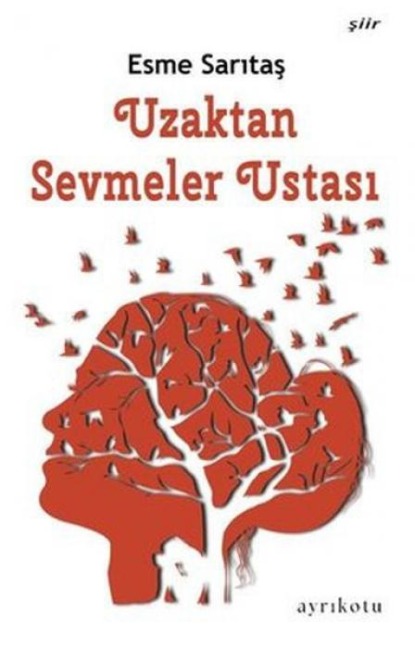 Uzaktan Sevmeler Ustasi - Esme Saritas