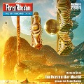 Cover-Bild zum Titel 'Perry Rhodan 2891: Im Herzen der Macht' von 'Michelle Stern'