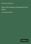 Cover-Bild zum Titel 'Stein Unter Steinen; Schauspiel in Vier Akten' von 'Hermann Sudermann'