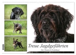 Cover-Bild zum Titel 'Treue Jagdgefährten - Der Deutsch Drahthaar (Wandkalender 2026 DIN A2 quer), CALVENDO Monatskalender' von 'Yvonne Streib'
