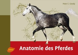 Cover-Bild zum Titel 'Anatomie des Pferdes' von 'Peter C. Goody'