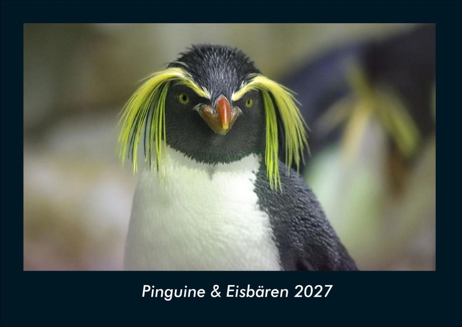 Pinguine & Eisbären 2027 Fotokalender DIN A4 - Tobias Schmitt, Kevin Heber