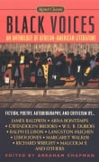 Cover-Bild zum Titel 'Black Voices' von 'Various'