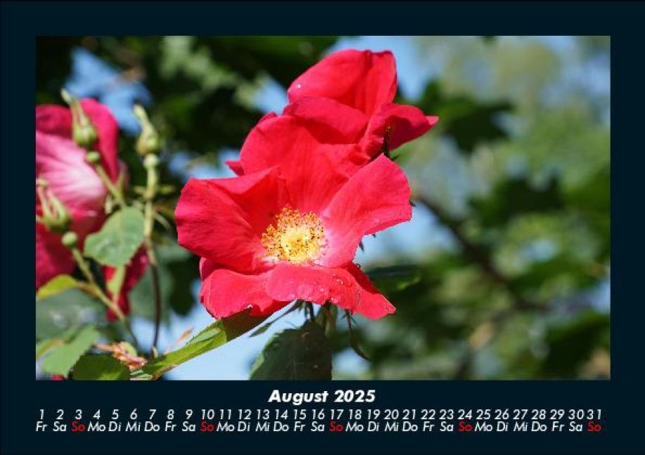 InsideView 12