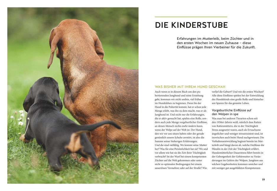 InsideView 3