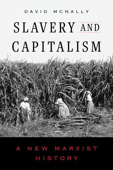 Slavery and Capitalism - David Mcnally