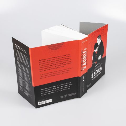 InsideView 4