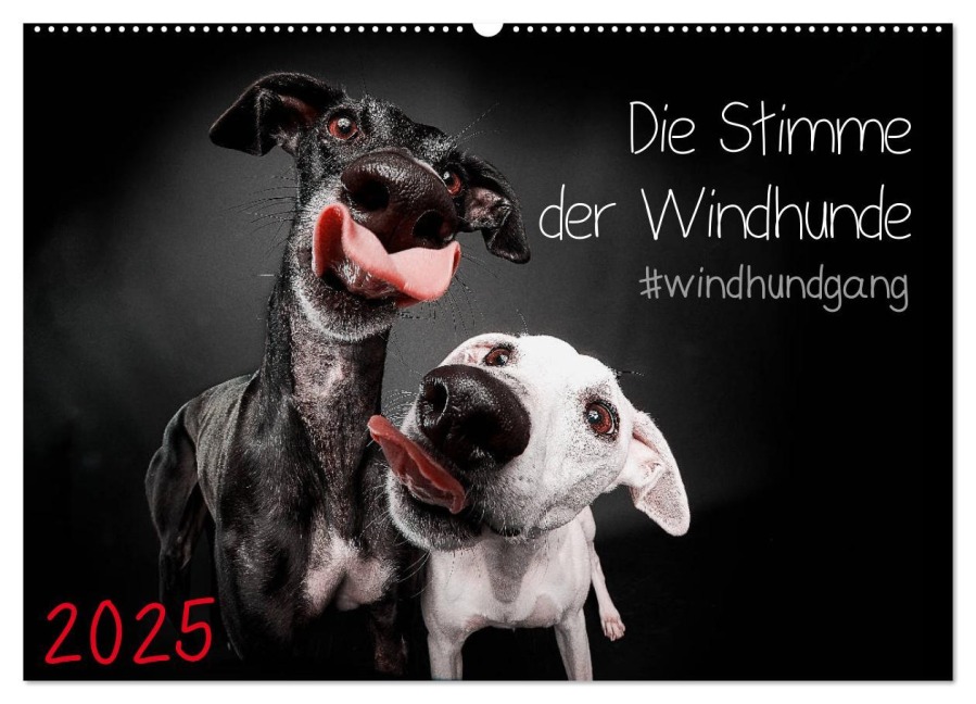 Die Stimme der Windhunde (Wandkalender 2025 DIN A2 quer), CALVENDO Monatskalender - Marcus Gier