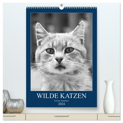 Wilde Katzen - Korsikas Samtpfoten (hochwertiger Premium Wandkalender 2024 DIN A2 hoch), Kunstdruck in Hochglanz - Claudia Schimmack