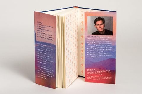 InsideView 3
