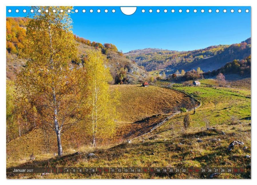 InsideView 6