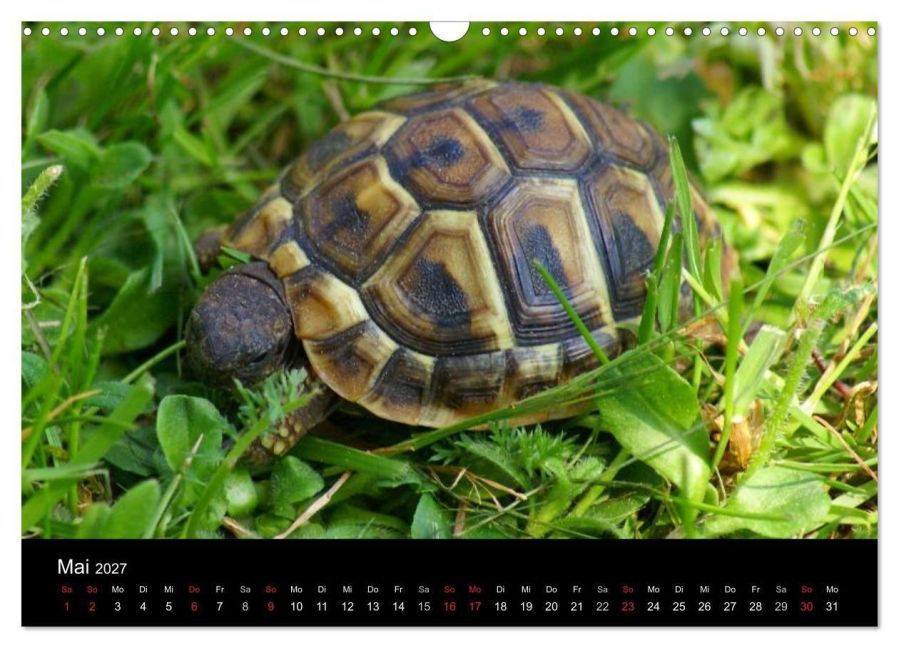 InsideView 10
