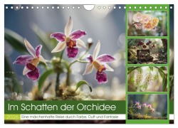 Cover-Bild zum Titel 'Im Schatten der Orchidee (Wandkalender 2026 DIN A4 quer), CALVENDO Monatskalender' von 'Steffen Gierok-Latniak'