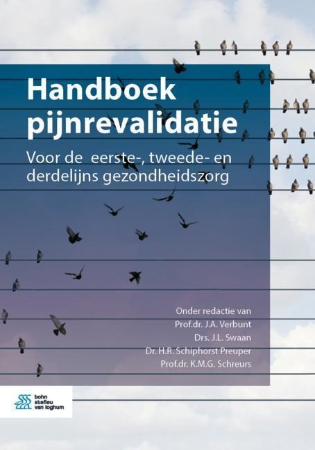 Handboek Pijnrevalidatie - 