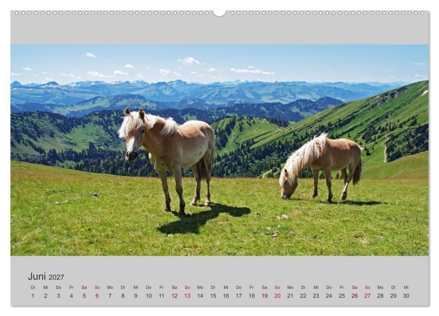 InsideView 11