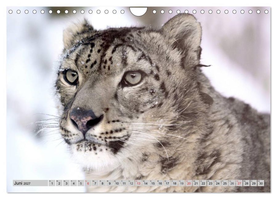 InsideView 11