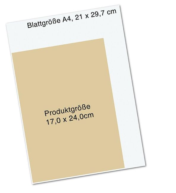 InsideView 8