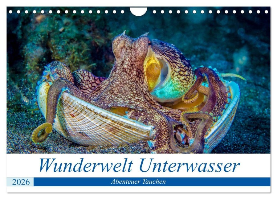 Wunderwelt Unterwasser (Wandkalender 2026 DIN A4 quer), CALVENDO Monatskalender - Dieter Gödecke