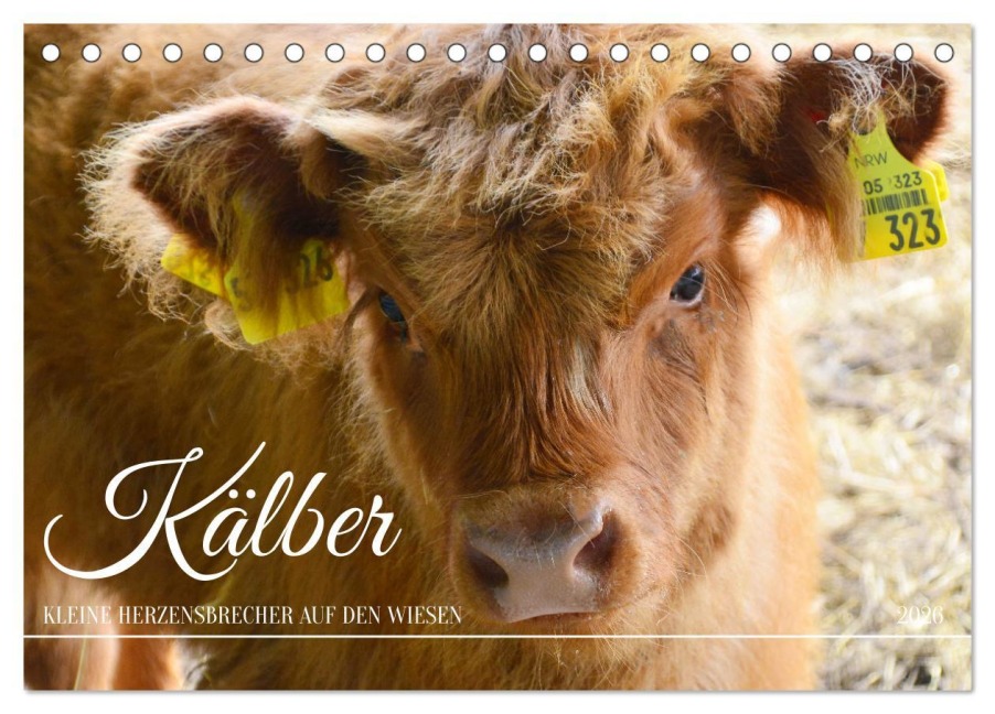 Kälber - Kleine Herzensbrecher auf den Wiesen (Tischkalender 2026 DIN A5 quer), CALVENDO Monatskalender - DeVerviers Photographer