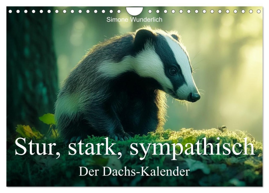 Stur, stark, sympathisch - Der Dachs - Kalender (Wandkalender 2026 DIN A4 quer), CALVENDO Monatskalender - Simone Wunderlich