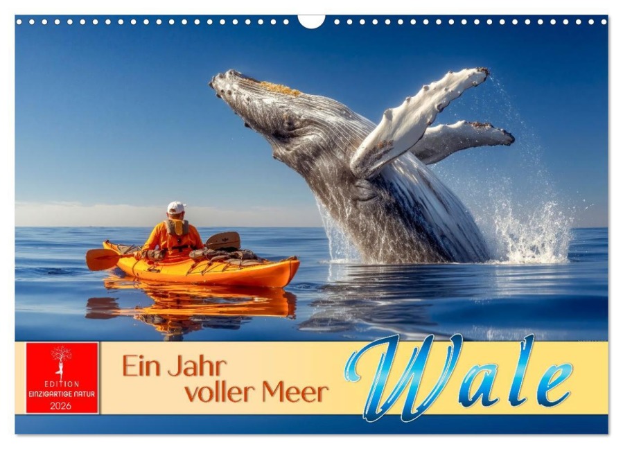 Wale - ein Jahr voller Meer (Wandkalender 2026 DIN A3 quer), CALVENDO Monatskalender - Roder Roder
