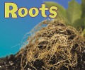 Roots - Vijaya Khisty Bodach