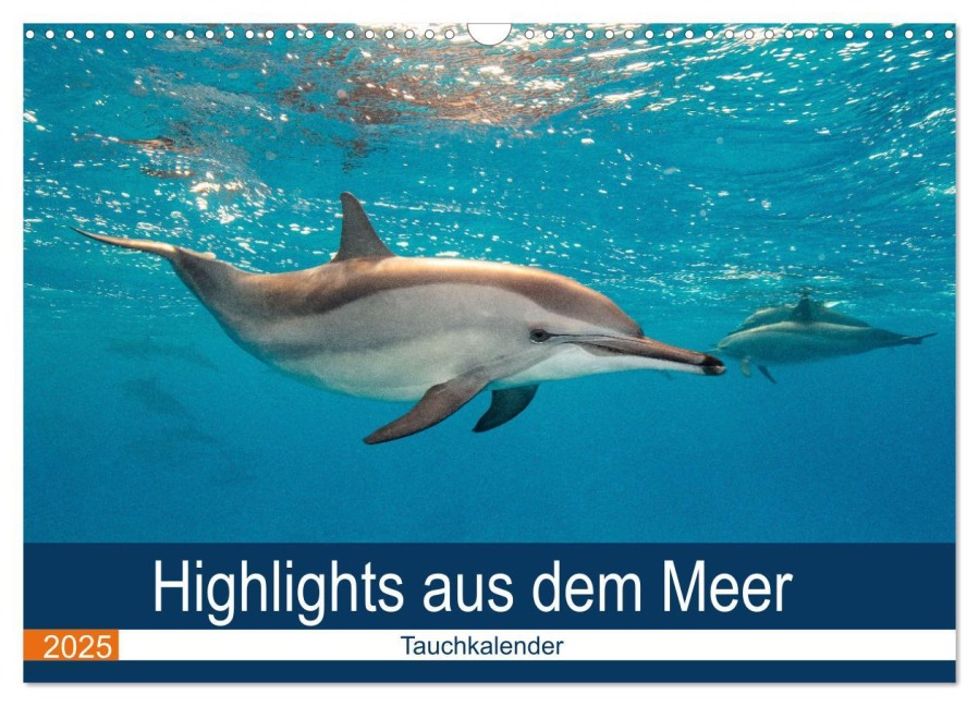 Highlights aus dem Meer - Tauchkalender (Wandkalender 2025 DIN A3 quer), CALVENDO Monatskalender - Sven Gruse