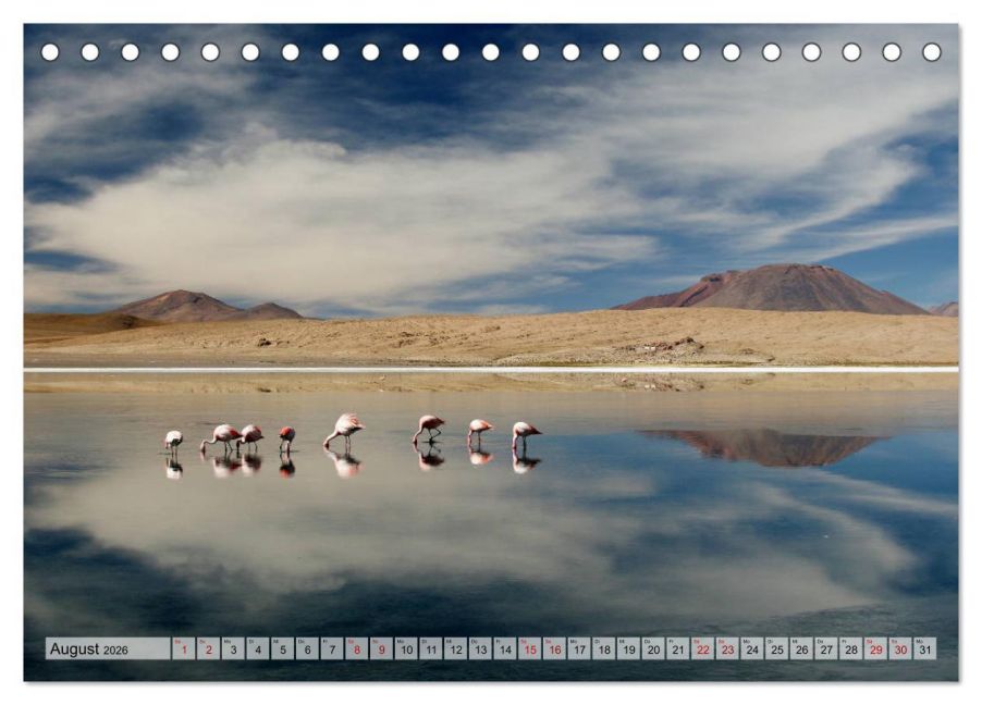 InsideView 13