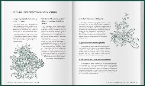 InsideView 13