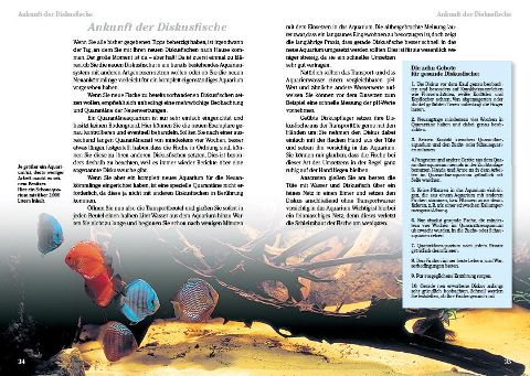 InsideView 2