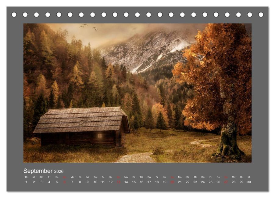 InsideView 14