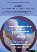 Cover-Bild zum Titel 'Ba¿lanma Odakl¿ Hamilelik Deste¿i (B.O.H.D.)' von 'Christa Balkenhol-Wright'