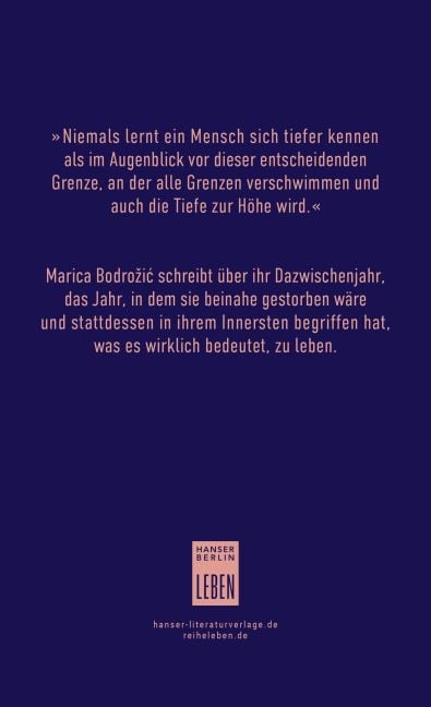 InsideView 1