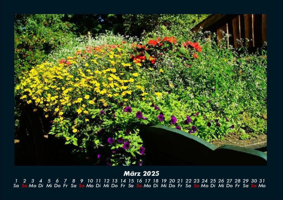 InsideView 7