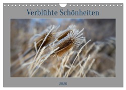 Cover-Bild zum Titel 'Verblühte Schönheiten (Wandkalender 2026 DIN A4 quer), CALVENDO Monatskalender' von 'Petra Spiess'