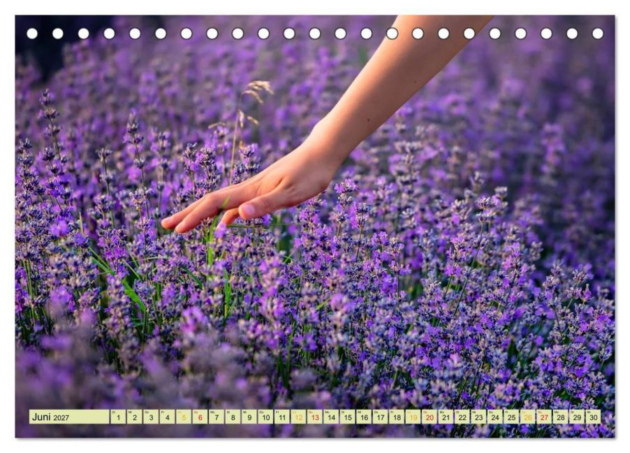 InsideView 11