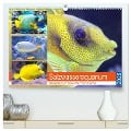 Salzwasseraquarium. Meeresfische im heimischen Wohnzimmer (hochwertiger Premium Wandkalender 2025 DIN A2 quer), Kunstdruck in Hochglanz - Rose Hurley