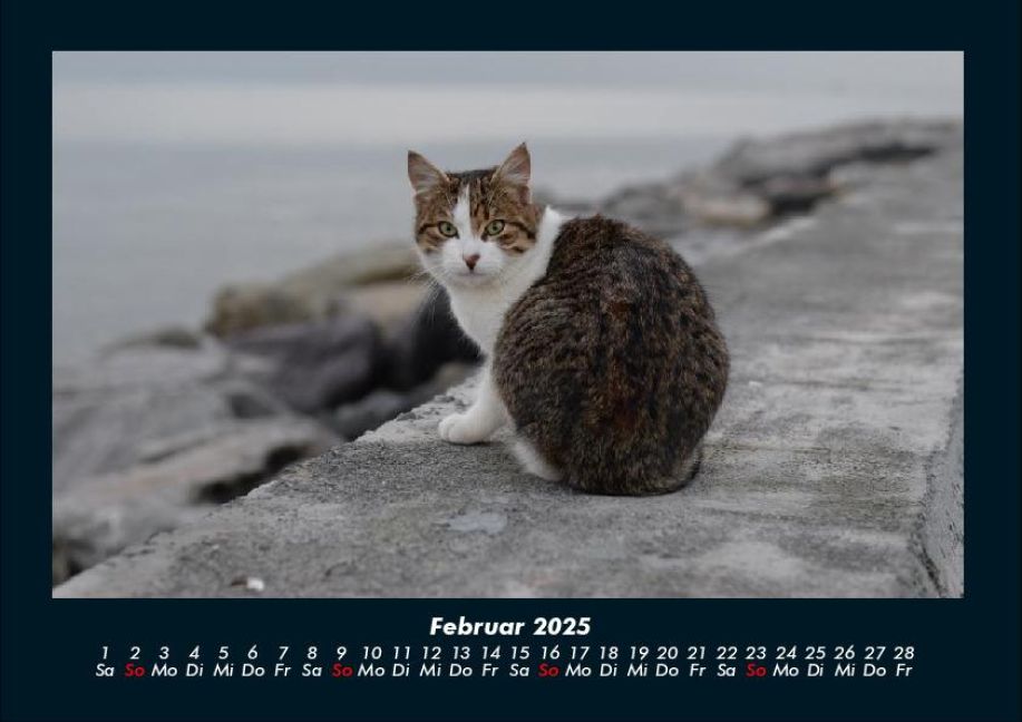 InsideView 6