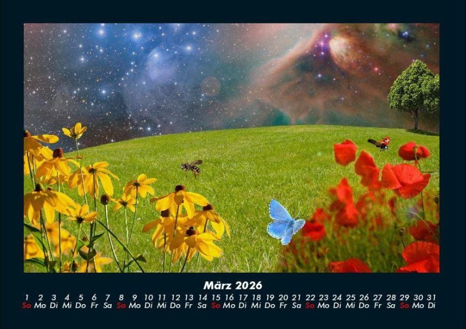InsideView 7