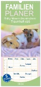 Familienplaner 2024 - Familienplaner BABY Meerschweinchen Traumhaft süß mit 5 Spalten (Wandkalender, 21 x 45 cm) CALVENDO - Sabine Hampe-Neves