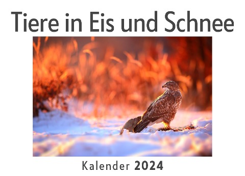 Tiere in Eis und Schnee (Wandkalender 2024, Kalender DIN A4 quer, Monatskalender im Querformat mit Kalendarium, Das perfekte Geschenk) - Anna Müller